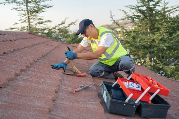 Best New Roof Installation  in Danvle, IL